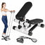 Fitness Stepper Exerciser with Rope