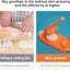 2-in-1 Dumpling Maker