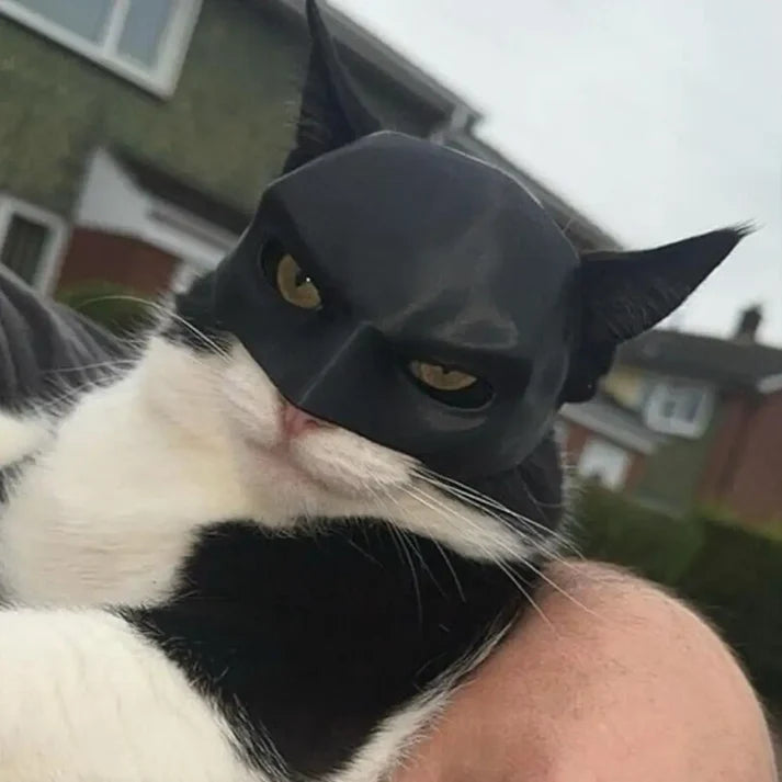 Batman Mask For Your Cat