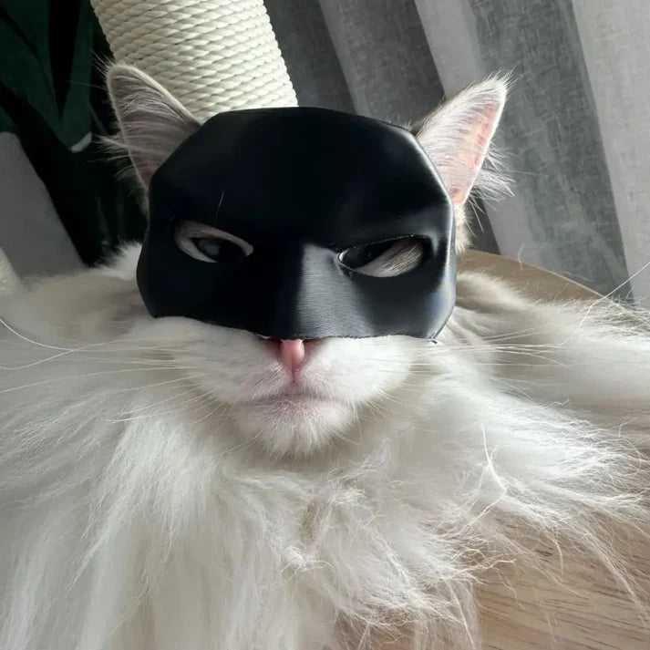 Batman Mask For Your Cat