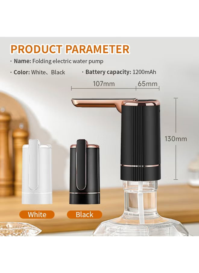 Portable Electric Water Pump