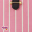 Louis Vuitton Most Demanding 2Pcs Ladies Handbag