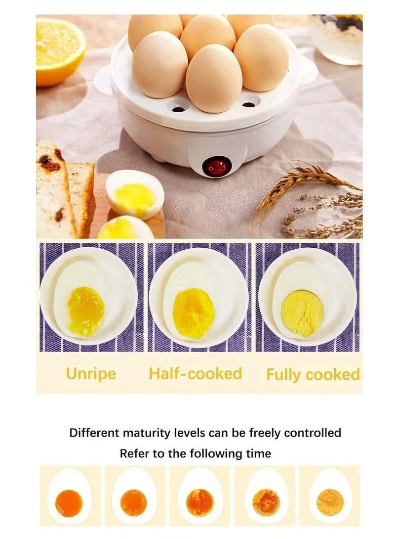 Electric Egg Boiler