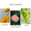 Hair Care Essential Oil with Sunflower Seed and Safflower Oil