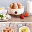Electric Egg Boiler