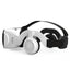 VR Headset with Remote Control